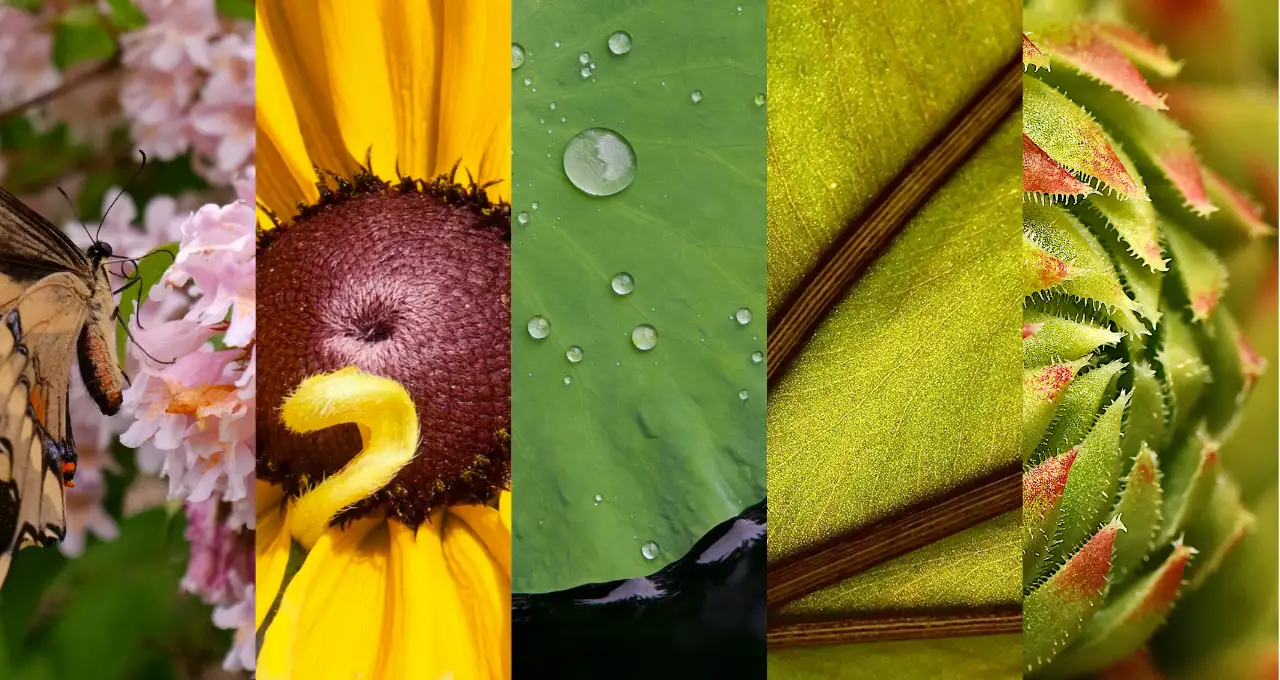 Blog post image