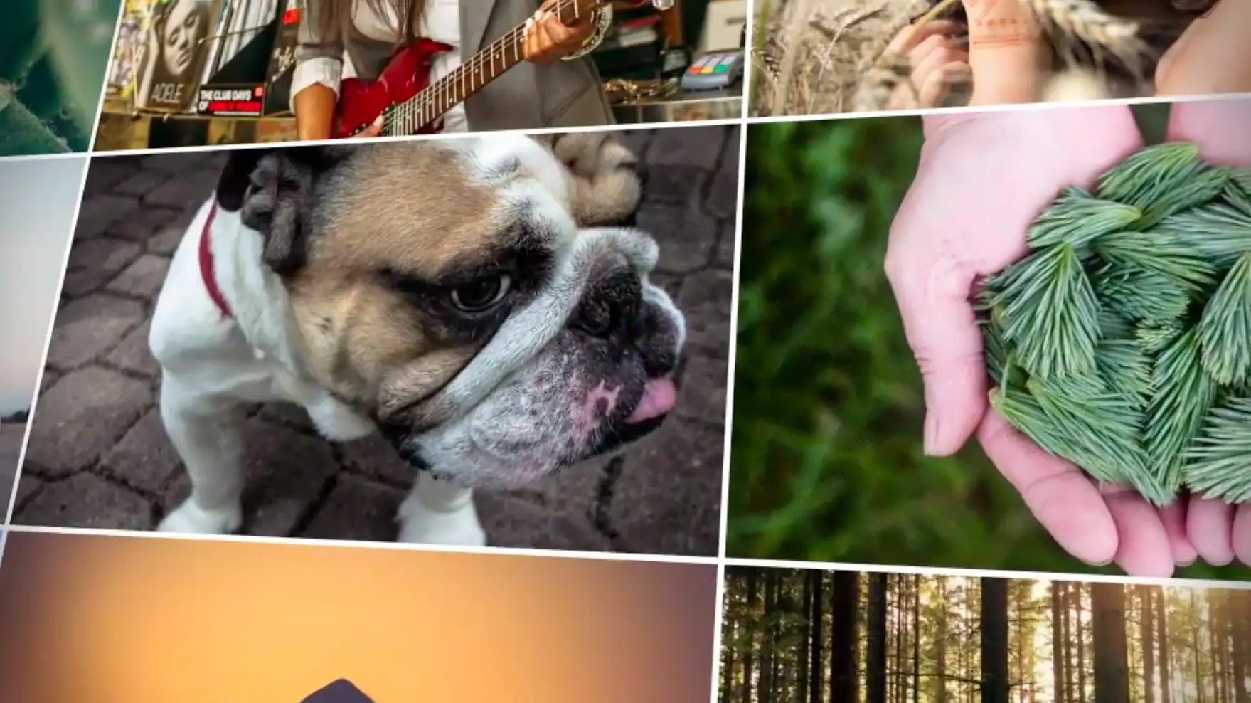 How unoptimized images hurt e-commerce conversion rates